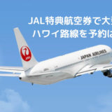 JAL特典航空券